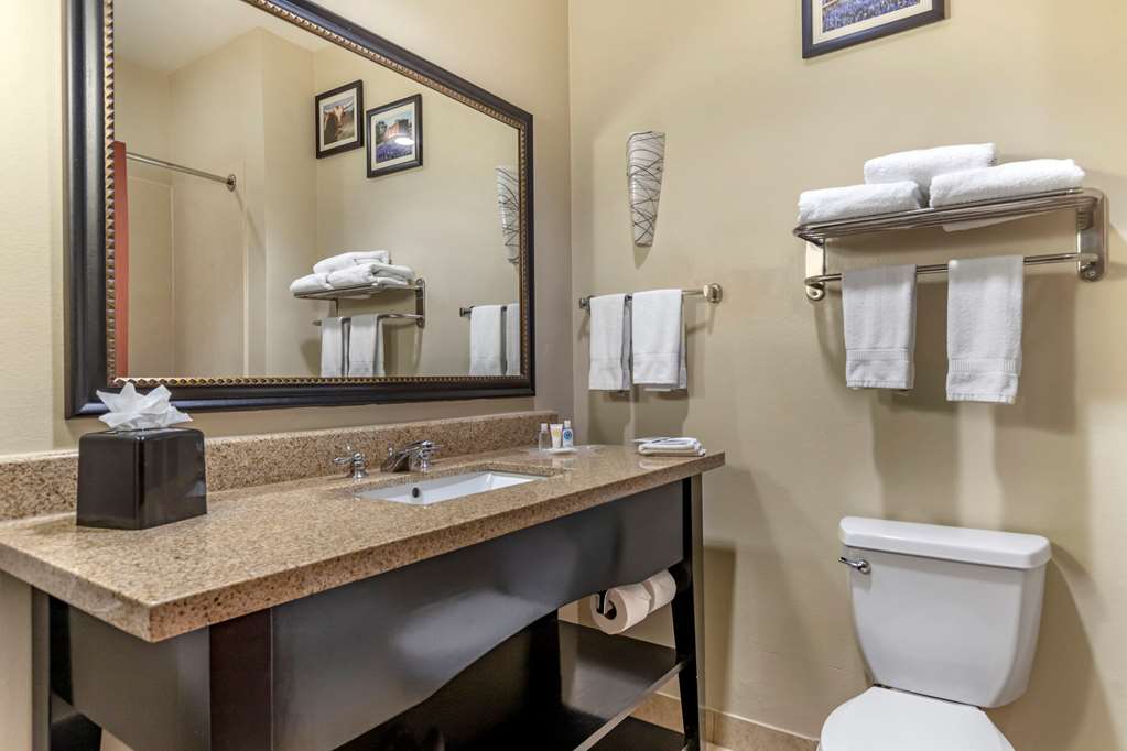 Comfort Suites Buda Austin South - photo 28