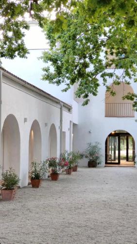 Hacienda De Mare — Mangalia — photo 4