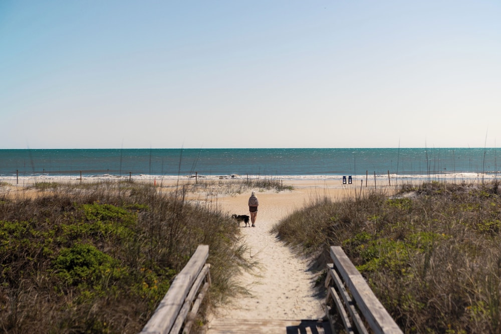 Guy Harvey Resort on St Augustine Beach - photo 88