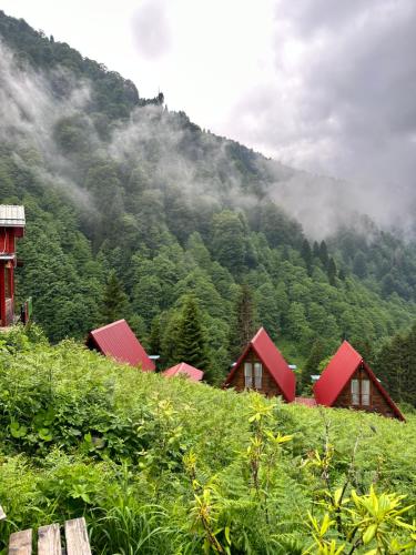 Ayder Villa Gencal — 4-Star Luxury Hotel in Camlihemsin, Turkey