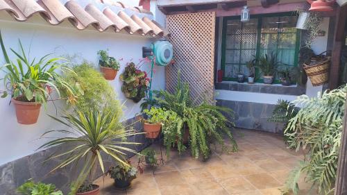El Llanete — Vega De San Mateo — photo 2
