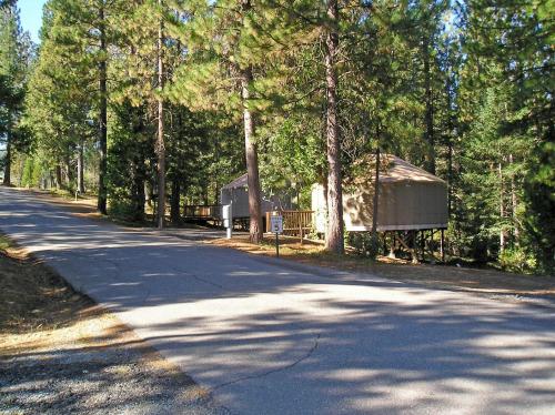 Yosemite Lakes Yurts - photo 15