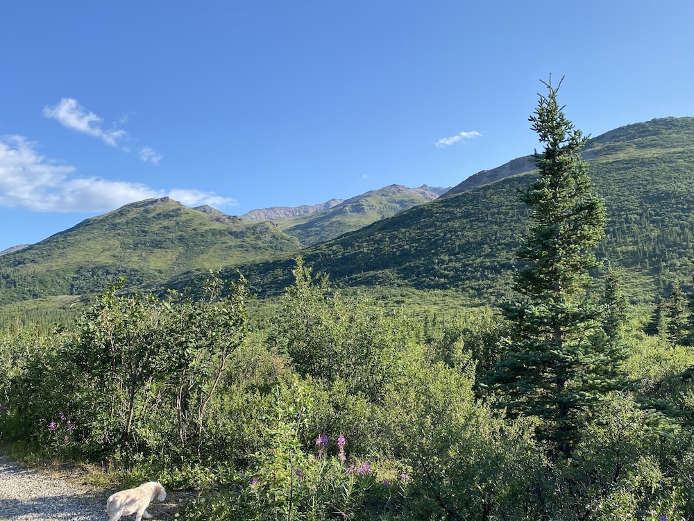 Denali RV Park and Motel - photo 43