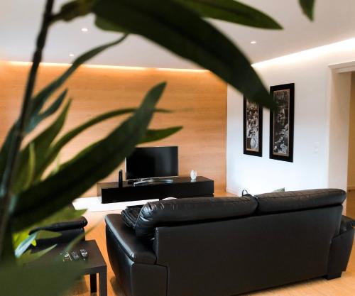 Alojamento Encantador no Centro de Ponta Delgada — 4-Star Luxury Hotel in Ponta Delgada, Portugal
