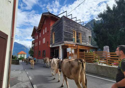 Residence Valgerola — 4-Star Luxury Hotel in Pedesina, Italy