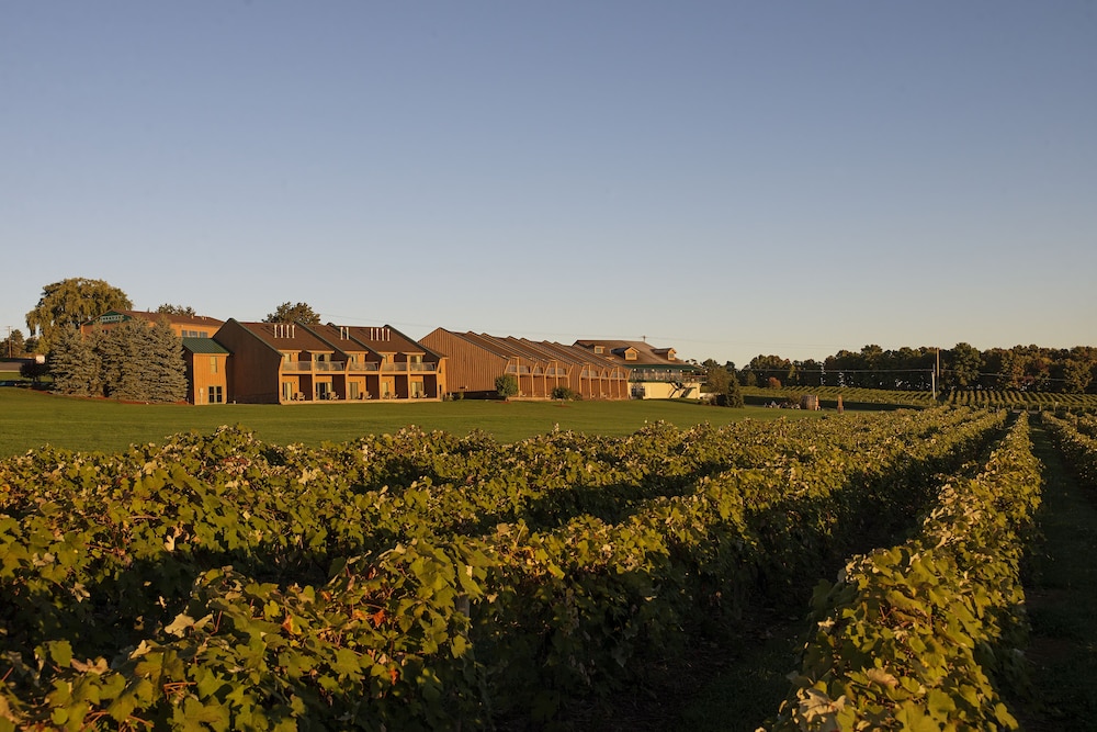 The Inn at Glenora Wine Cellars - photo 54