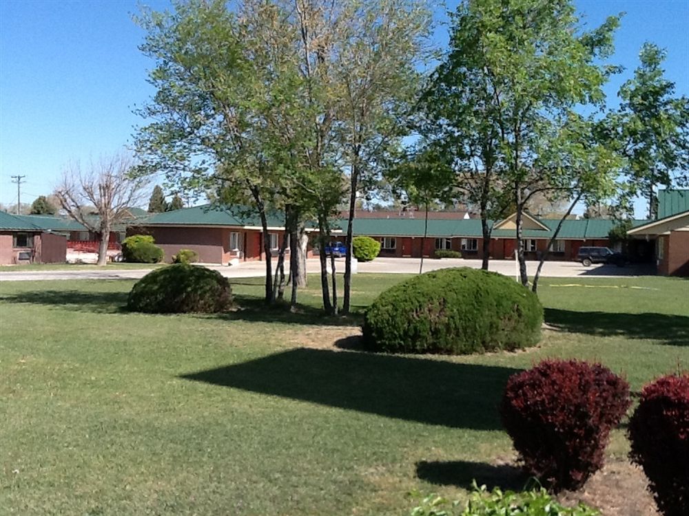 Apollo Motor Inn - photo 22