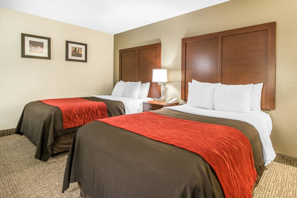 Comfort Inn & Suites Denver Northfield - photo 17