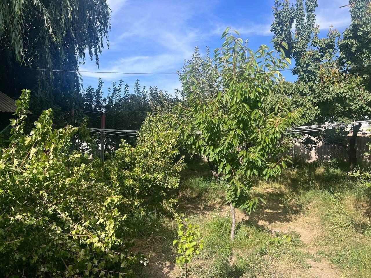 Vstrecha — Karakol — photo 4