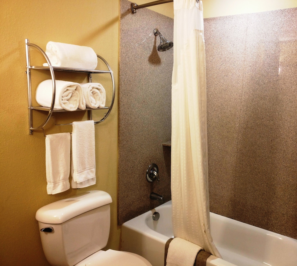 Holiday Inn Express & Suites Waller Prairie View by IHG - photo 22