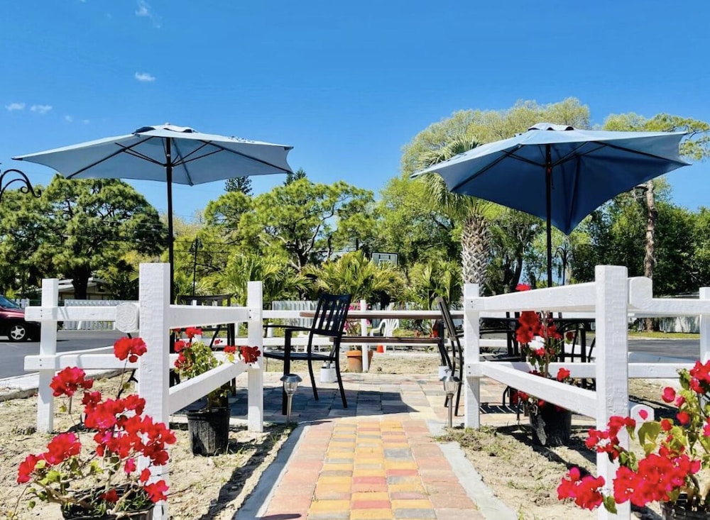 Siesta Inn - photo 13