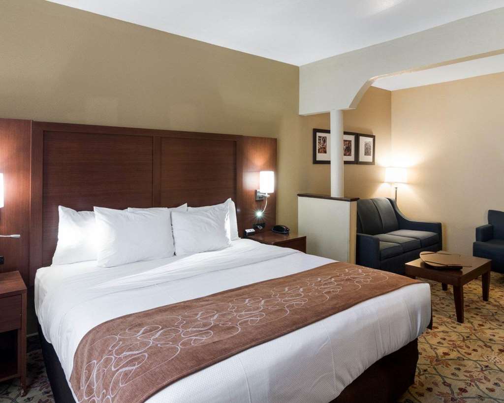 Quality Suites Midland North Loop 250 - photo 26