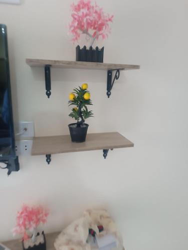 Princess resort flat no217 - last minute hotel in Hurghada