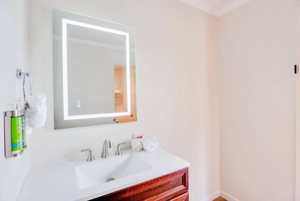Ramada by Wyndham Mountain View - photo 29