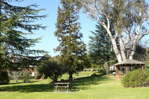 Springs Mittagong — Mittagong — photo 4