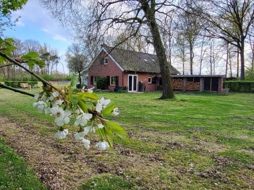 Boshoes - carbon neutral hotel in Heythuysen