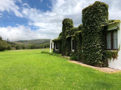 Descanso Perfecto en Tafí del Valle — Tafi Del Valle — photo 3