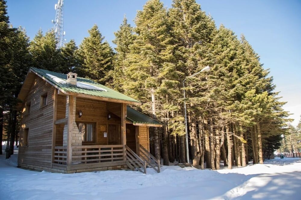 Uludag Orman Koskleri - last minute hotel in Bursa