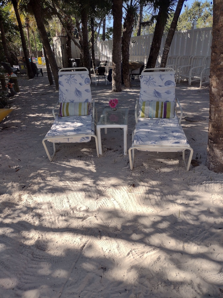 Bayfront Beauty - photo 23