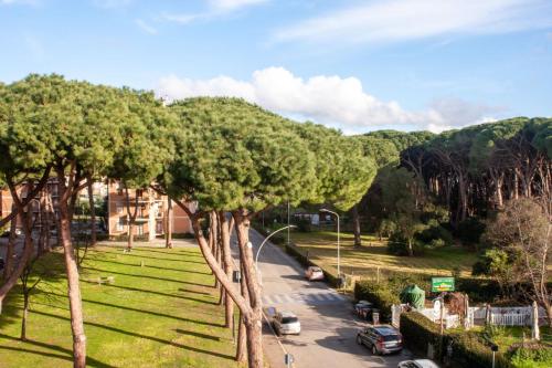 Appartamento AZ1 — Follonica — photo 3