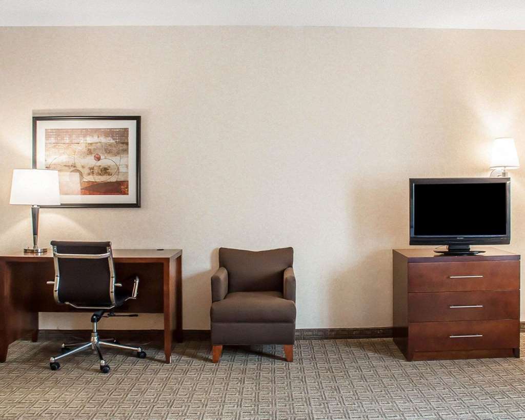 Comfort Inn & Suites Hamburg Buffalo South - photo 15