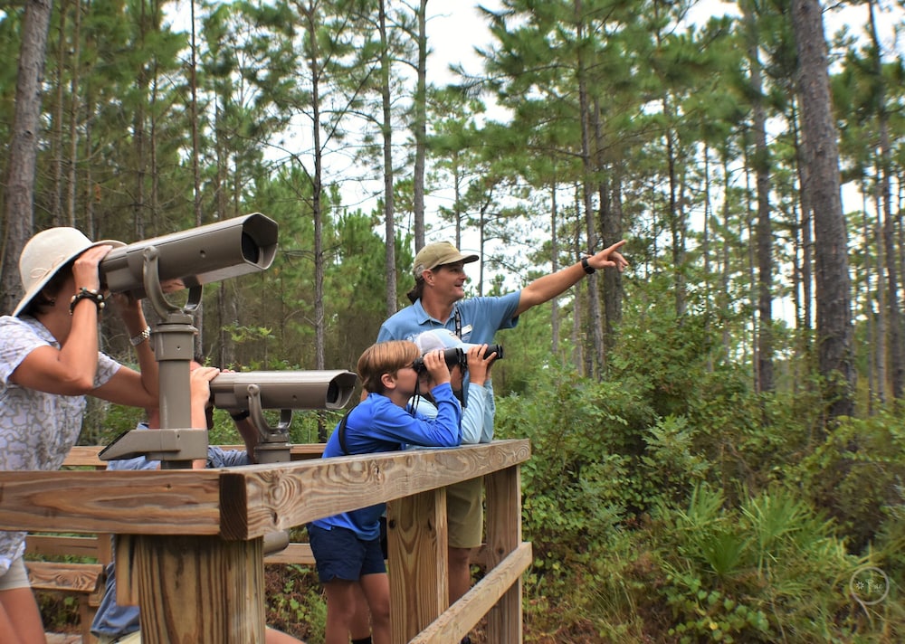 The Cabins at Gulf State Park - photo 87