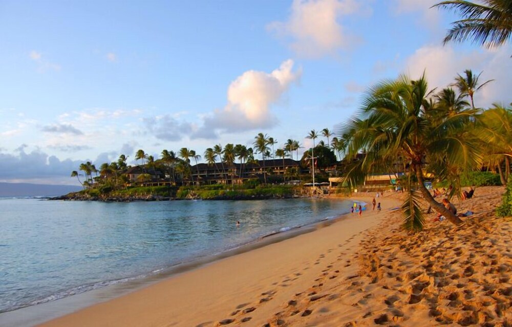 Hale Napili - photo 28
