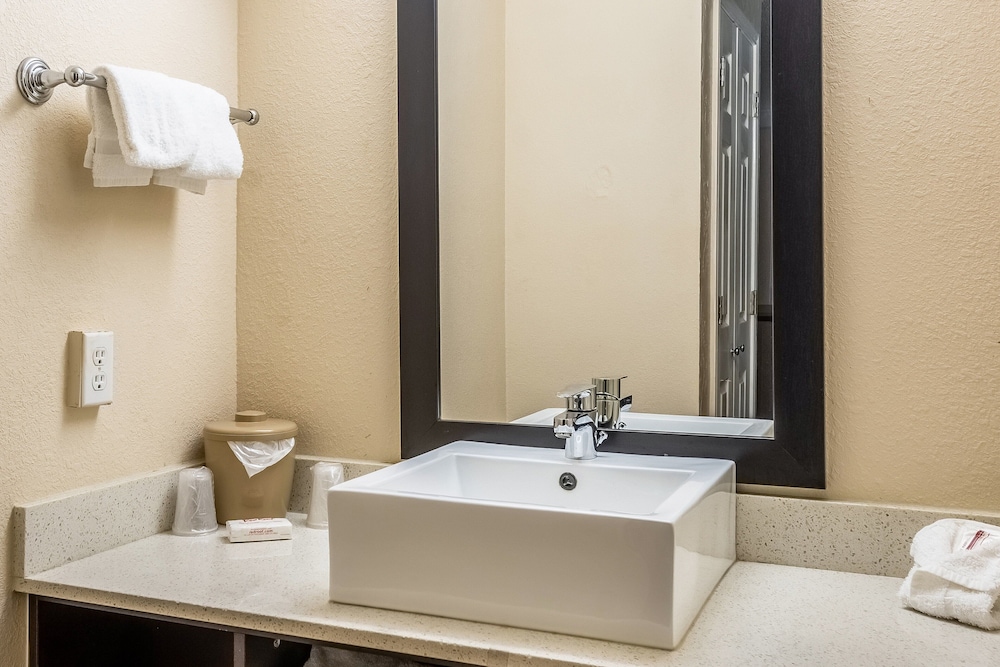 Red Roof Inn Tampa Bay St Petersburg - photo 11