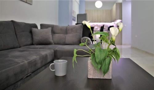 Lovely apartment in the center of Athens. — 4-Star Luxury Hotel in Athens, Greece