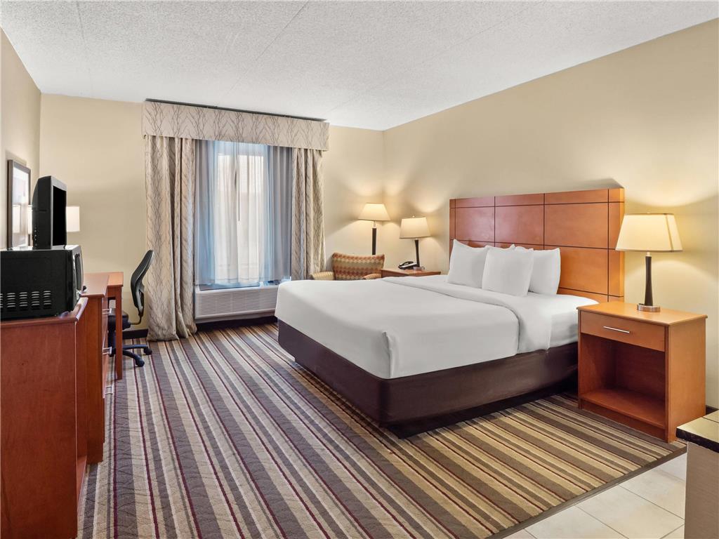 Comfort Inn Metro Airport - photo 34