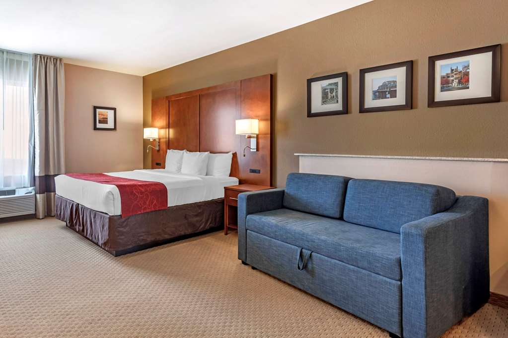 Comfort Suites Florence Shoals Area - photo 19