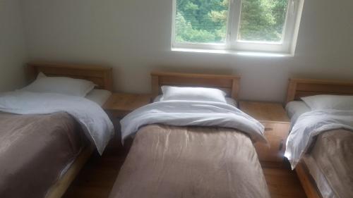 Guesthouse Gama in Khevsureti