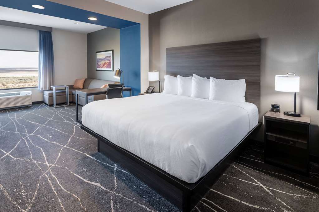 La Quinta Inn & Suites by Wyndham Holbrook Petrified Forest - photo 31