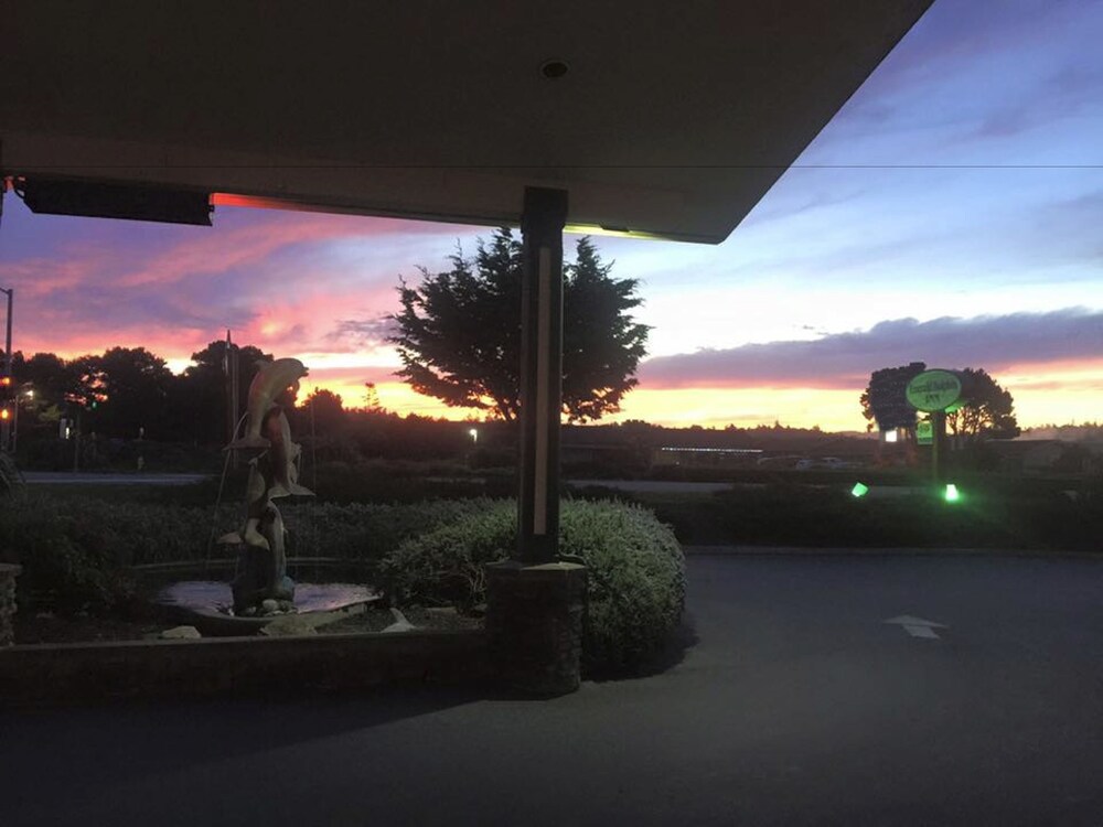 Emerald Dolphin Inn & Mini Golf - photo 36