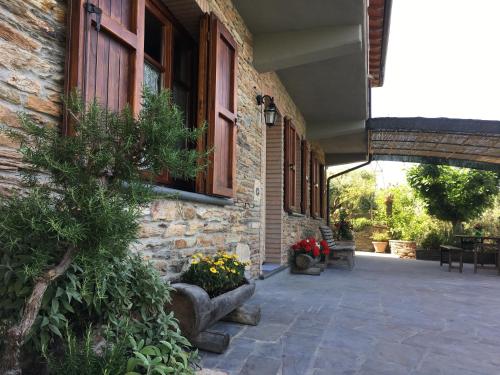Gelsomini — Massa — photo 3