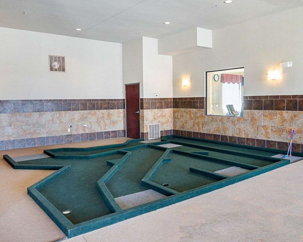Comfort Inn & Suites Monahans I 20 - photo 25