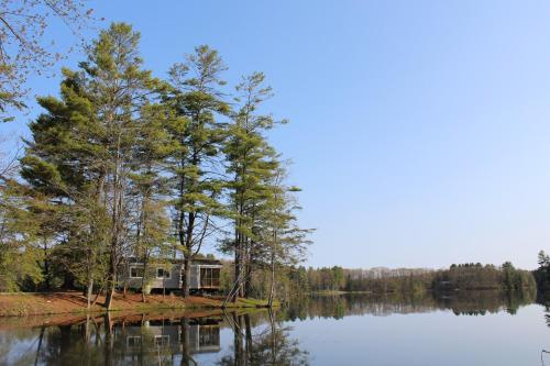 Alpine Lake Lakefront Park Model 4 - photo 10
