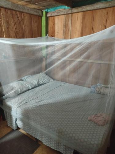 Posada Las Penitas — Nuqui