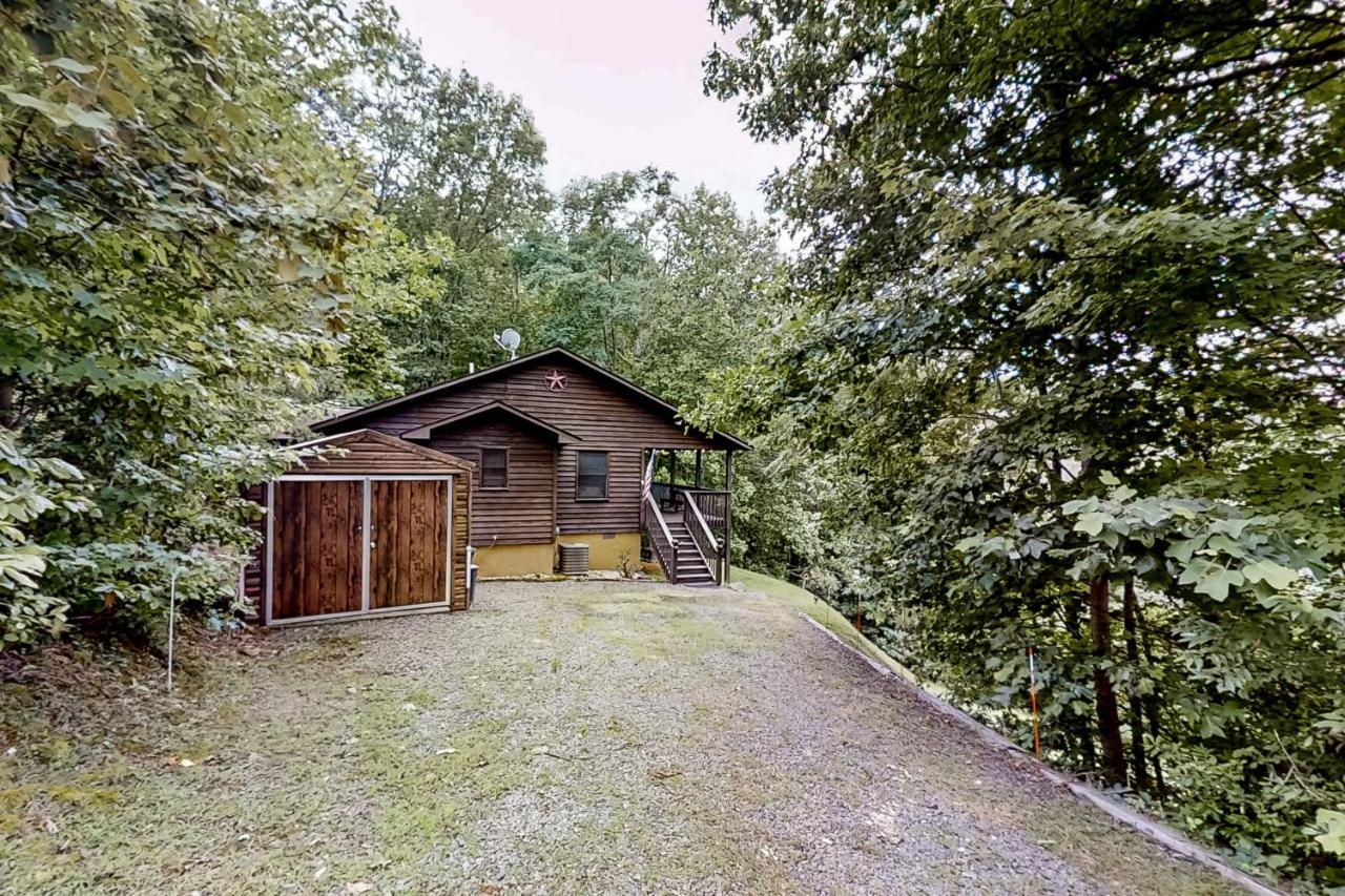 Black Bear S Den — Murphy