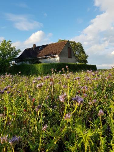 Ferienhaus Gransee unmittelbar am Stechlinsee Radweg — hotel in Gransee