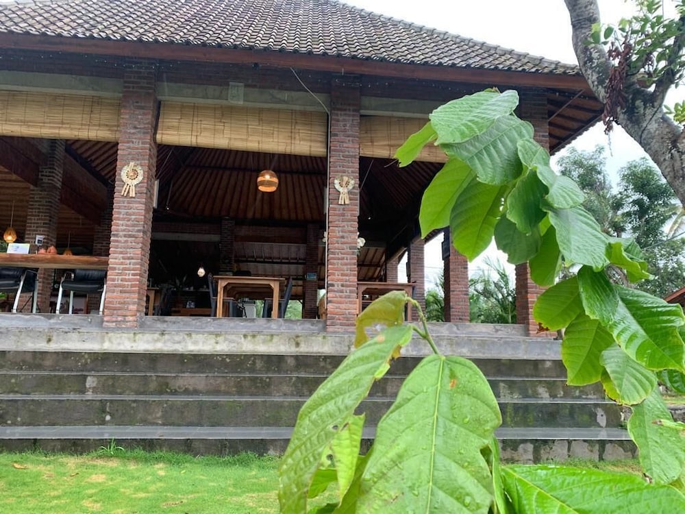 Kampung Coklat Jembrana — Negara