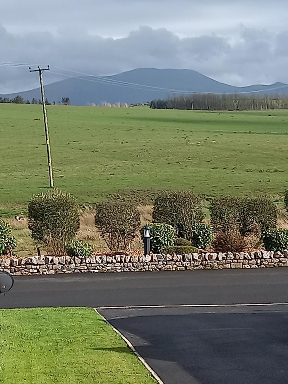 Green Dream in Cockermouth, United Kingdom