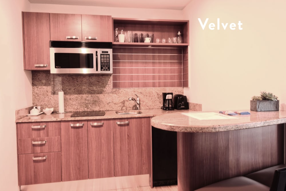 Conrad Miami Suites by Vesper - photo 21