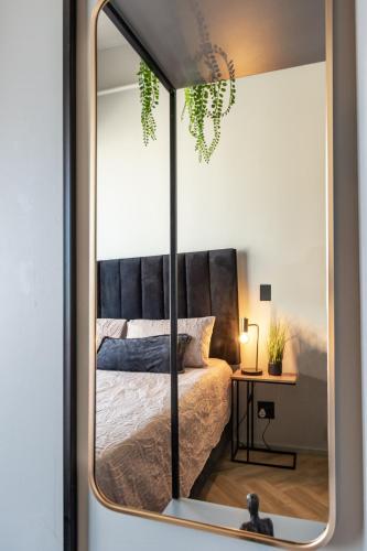 Cozy Delightful Apt for a Good Rest