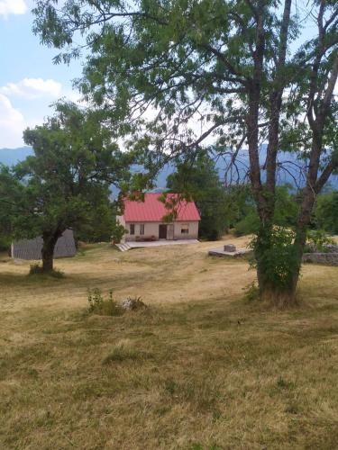 Ivica in Unknown City, Montenegro