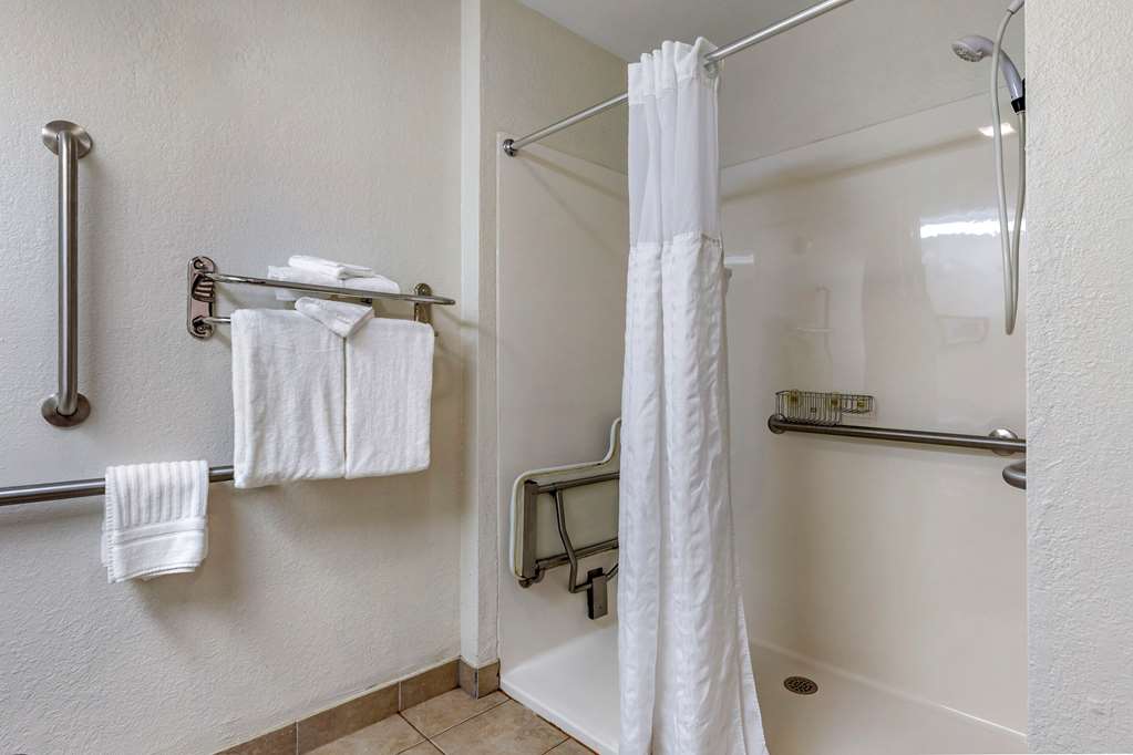 Comfort Inn Okemos East Lansing - photo 23