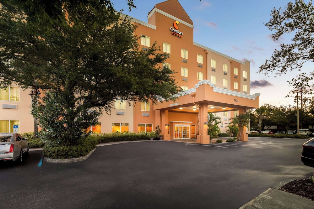 Comfort Suites Tampa Airport North - photo 34