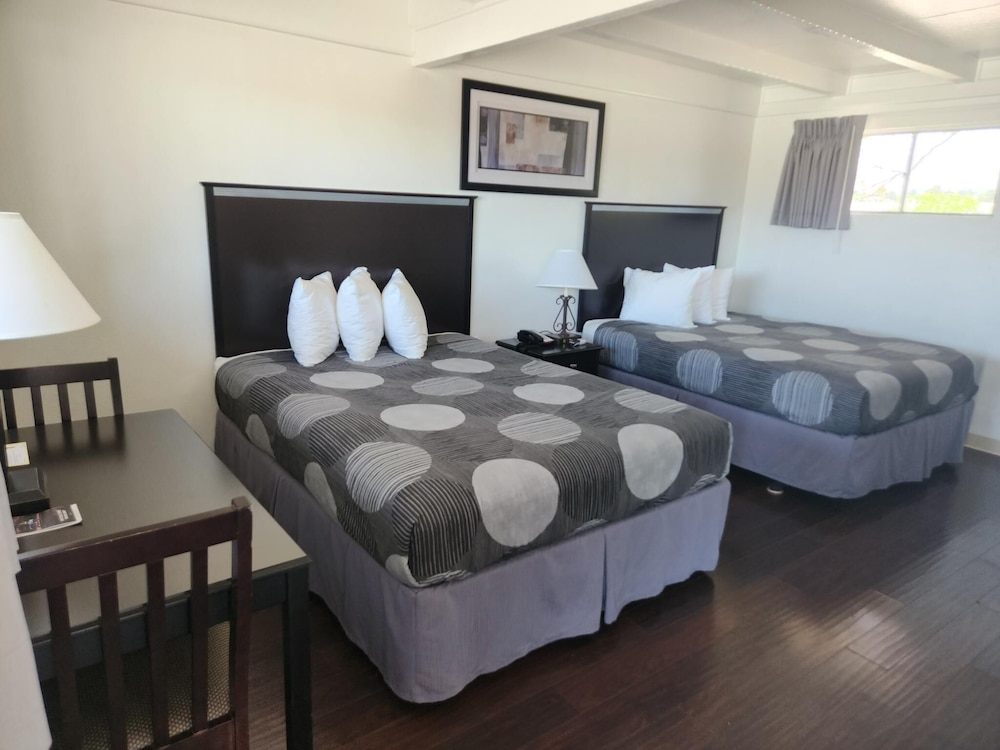 The View Motel - photo 12