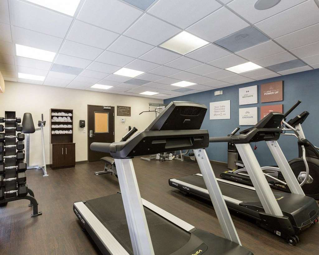 Comfort Suites near Westchase on Beltway 8 - photo 22