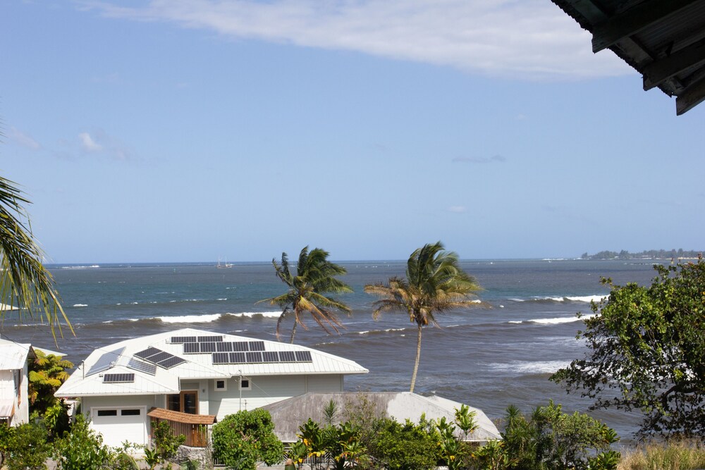 Wild Ginger Inn Hotel - photo 30